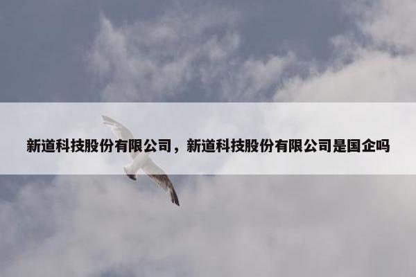 新道科技股份有限公司,新道科技股份有限公司是国企吗