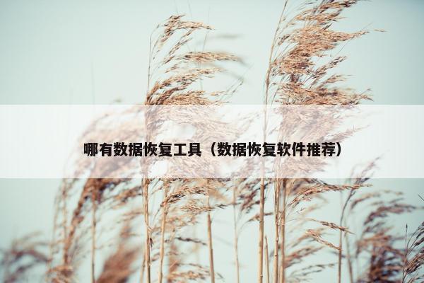 哪有数据恢复工具(数据恢复软件推荐)