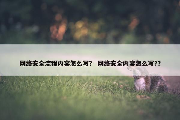 网络安全流程内容怎么写? 网络安全内容怎么写??