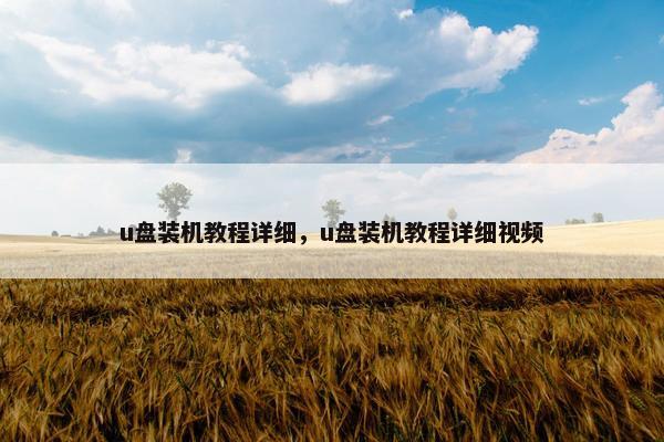 u盘装机教程详细，u盘装机教程详细视频