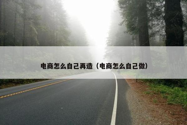电商怎么自己再造（电商怎么自己做）
