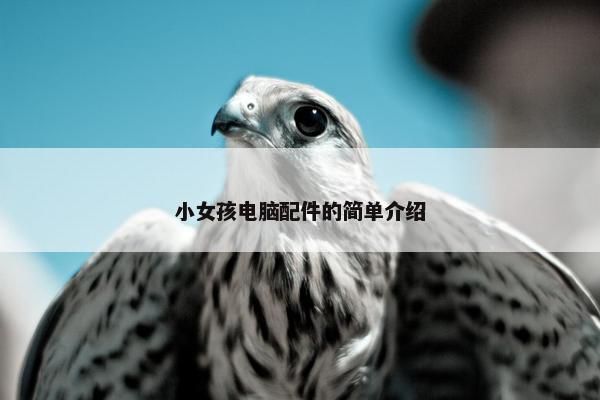 小女孩电脑配件的简单介绍