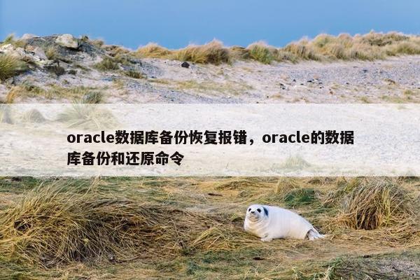oracle数据库备份恢复报错,oracle的数据库备份和还原命令 oracle数据库备份恢复报错,oracle的数据库备份和还原命令