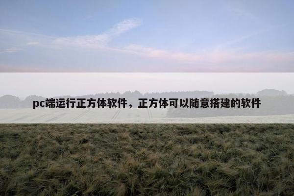 pc端运行正方体软件，正方体可以随意搭建的软件