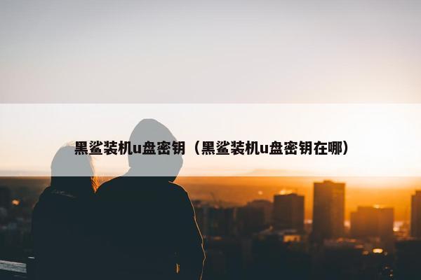 黑鲨装机u盘密钥(黑鲨装机u盘密钥在哪)