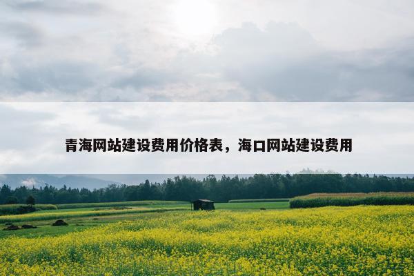 青海网站建设费用价格表,海口网站建设费用