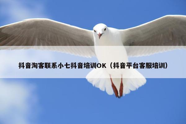 抖音淘客联系小七抖音培训OK(抖音平台客服培训)