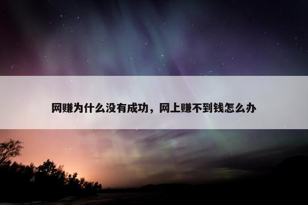 网赚为什么没有成功，网上赚不到钱怎么办