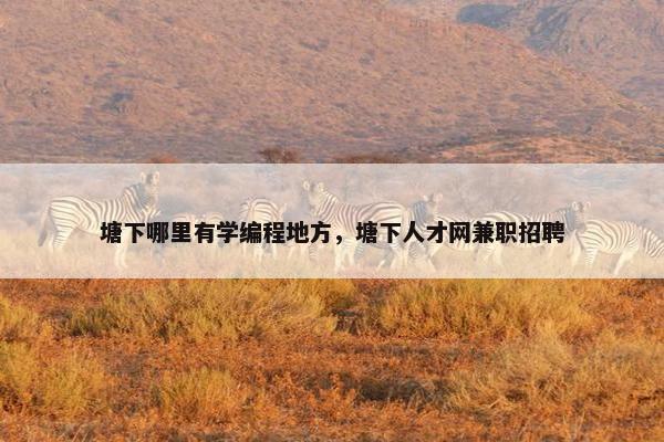 塘下哪里有学编程地方，塘下人才网兼职招聘