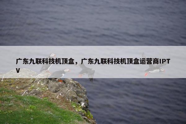 广东九联科技机顶盒，广东九联科技机顶盒运营商IPTV
