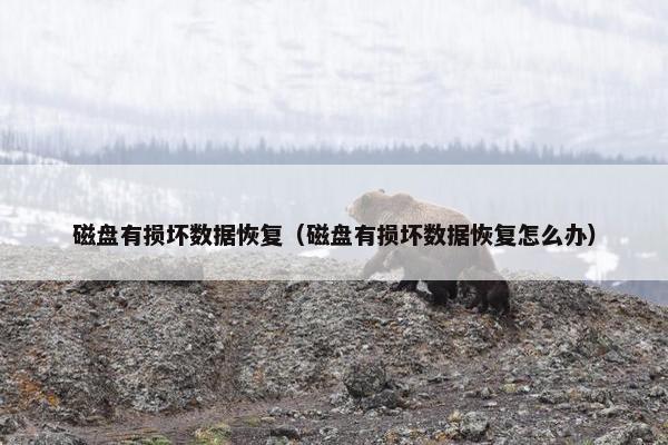 磁盘有损坏数据恢复(磁盘有损坏数据恢复怎么办)