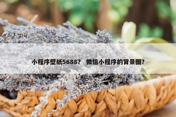 小程序壁纸5688? 微信小程序的背景图?