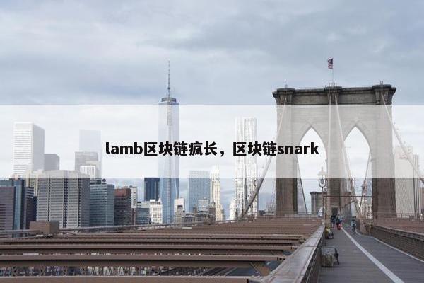 lamb区块链疯长，区块链snark