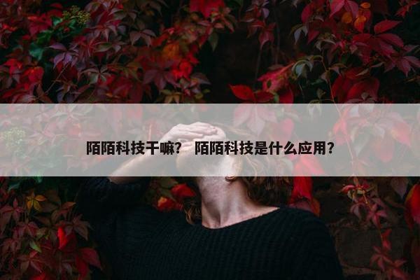 陌陌科技干嘛? 陌陌科技是什么应用?