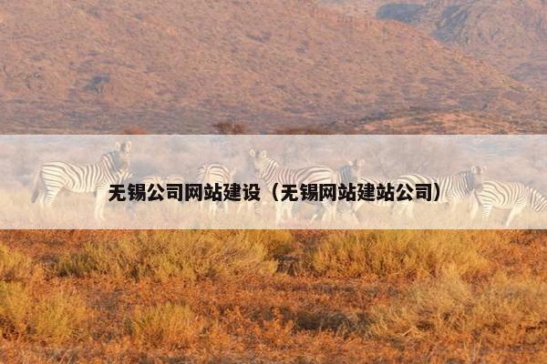 无锡公司网站建设（无锡网站建站公司）