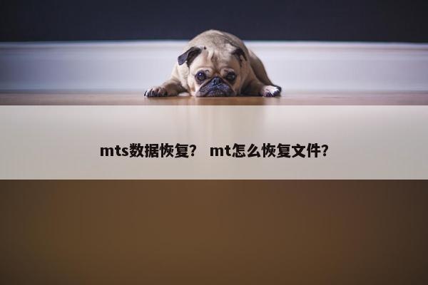 mts数据恢复? mt怎么恢复文件?