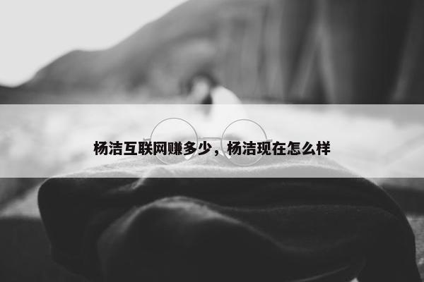 杨洁互联网赚多少，杨洁现在怎么样