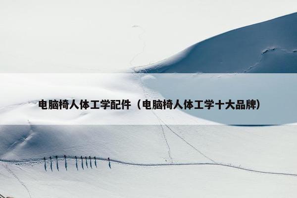 电脑椅人体工学配件（电脑椅人体工学十大品牌）