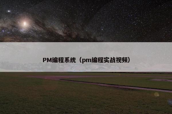 PM编程系统（pm编程实战视频）