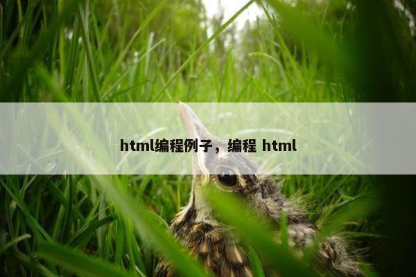 html编程例子,编程 html