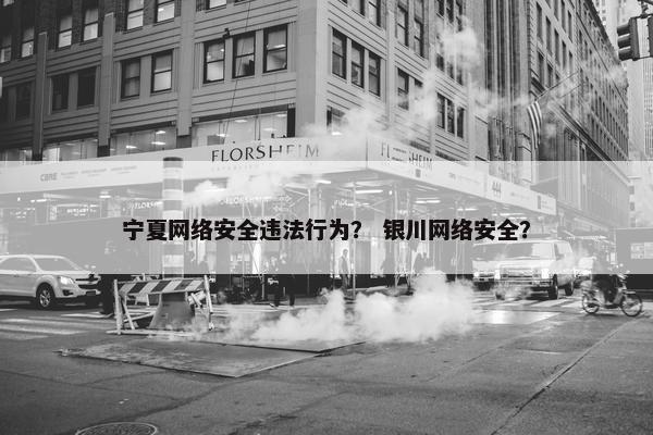 宁夏网络安全违法行为？ 银川网络安全？