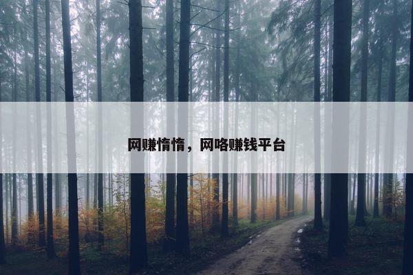 网赚惰惰，网咯赚钱平台