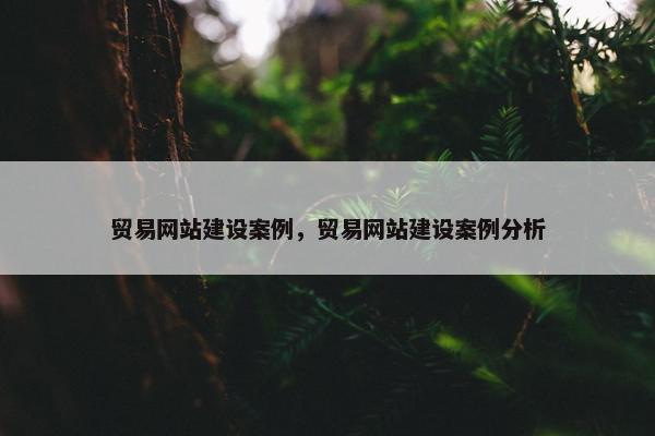 贸易网站建设案例，贸易网站建设案例分析