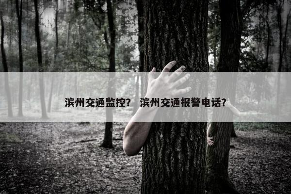 滨州交通监控？ 滨州交通报警电话？
