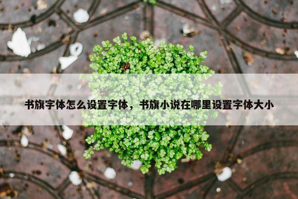 书旗字体怎么设置字体，书旗小说在哪里设置字体大小