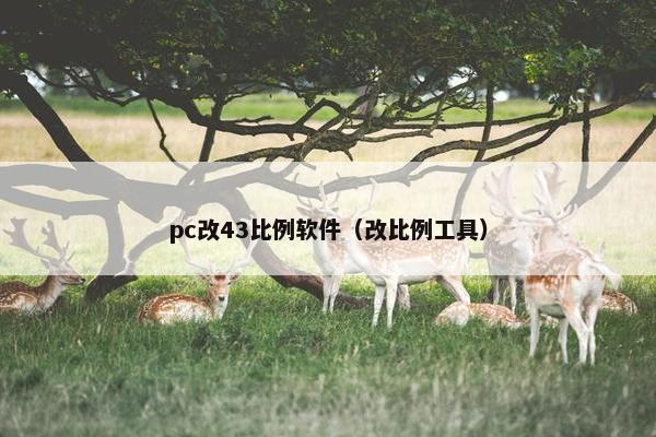 pc改43比例软件(改比例工具) pc改43比例软件(改比例工具)