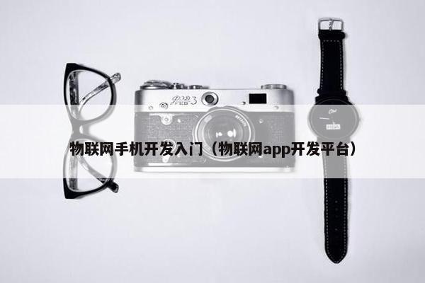 物联网手机开发入门（物联网app开发平台）