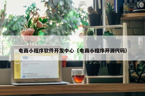 电商小程序软件开发中心(电商小程序开源代码)
