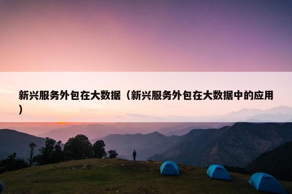 新兴服务外包在大数据（新兴服务外包在大数据中的应用）