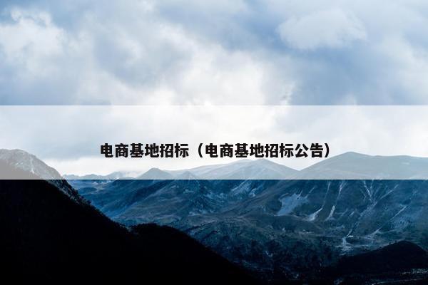 电商基地招标（电商基地招标公告）