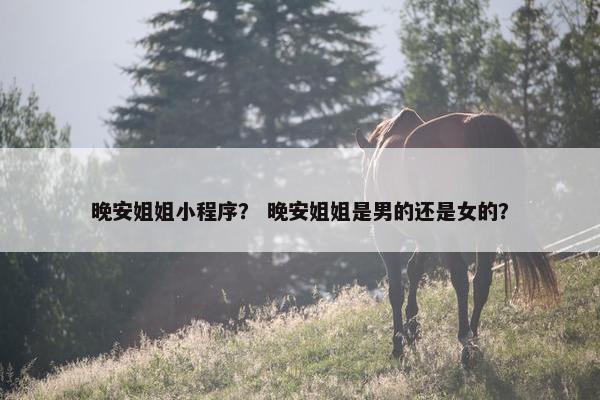 晚安姐姐小程序？ 晚安姐姐是男的还是女的？