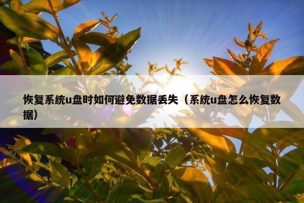 恢复系统u盘时如何避免数据丢失（系统u盘怎么恢复数据）