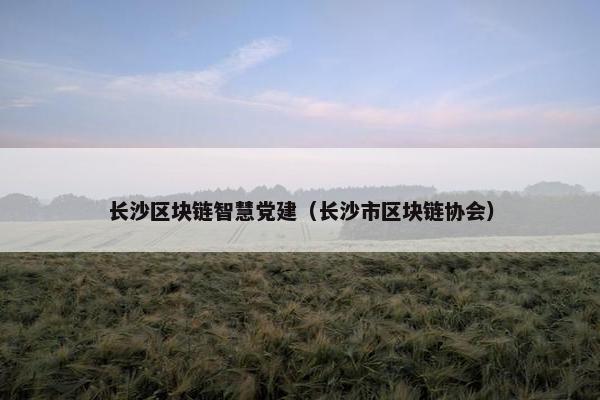 长沙区块链智慧党建（长沙市区块链协会）