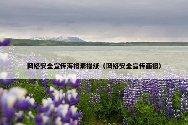 网络安全宣传海报素描纸（网络安全宣传画报）