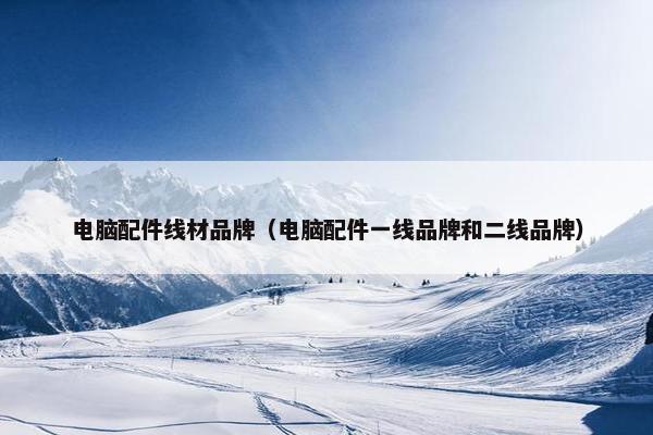 电脑配件线材品牌（电脑配件一线品牌和二线品牌）