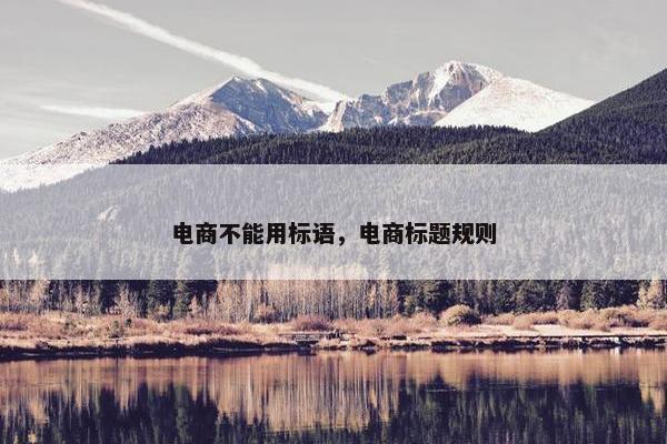 电商不能用标语，电商标题规则