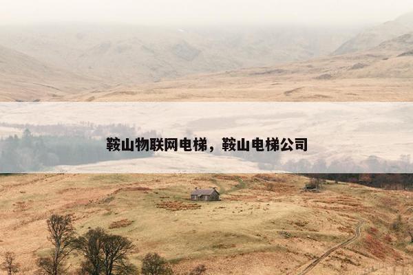 鞍山物联网电梯，鞍山电梯公司