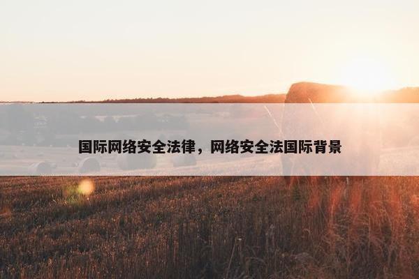 国际网络安全法律，网络安全法国际背景