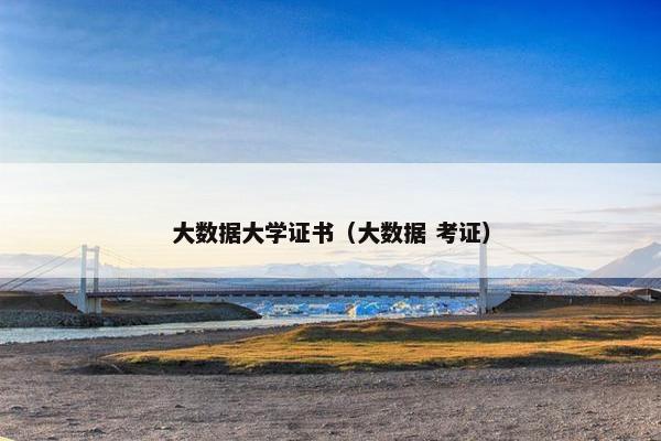 大数据大学证书（大数据 考证）
