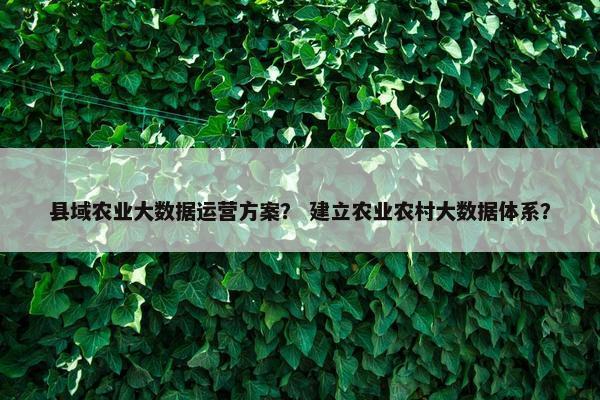 县域农业大数据运营方案？ 建立农业农村大数据体系？