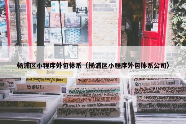 杨浦区小程序外包体系（杨浦区小程序外包体系公司）