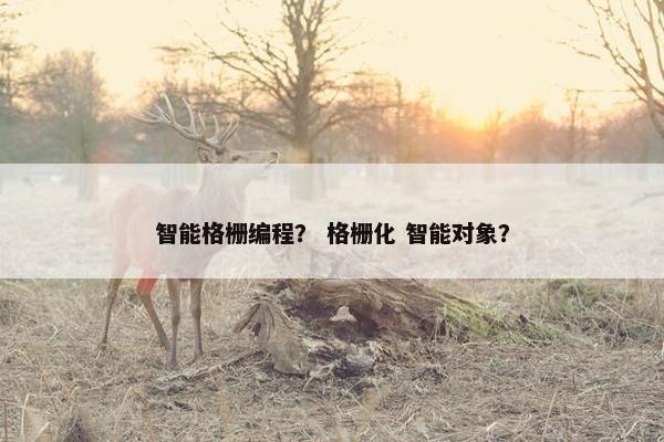智能格栅编程? 格栅化 智能对象? 智能格栅编程? 格栅化 智能对象?
