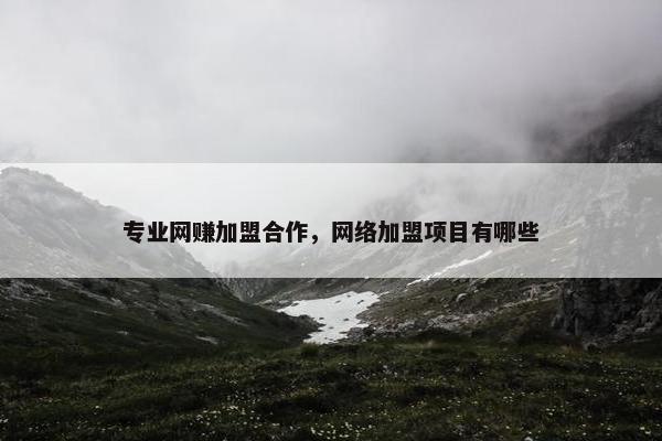 专业网赚加盟合作,网络加盟项目有哪些