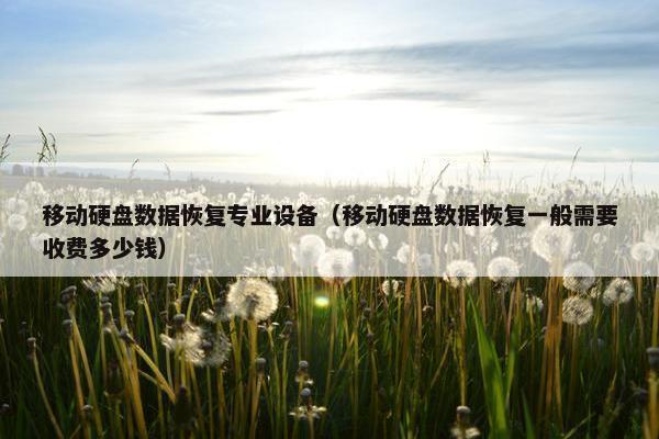 移动硬盘数据恢复专业设备（移动硬盘数据恢复一般需要收费多少钱）