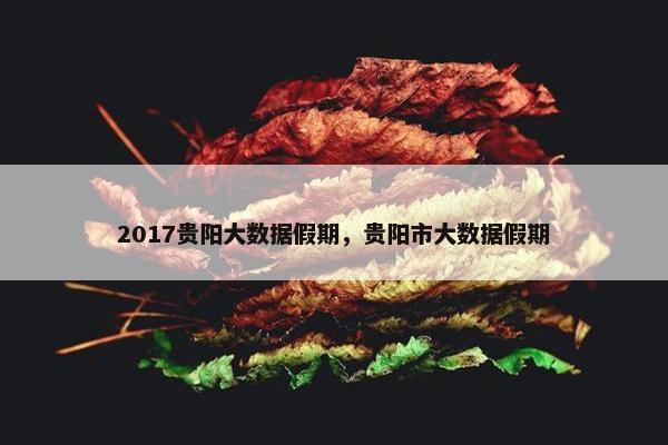 2017贵阳大数据假期,贵阳市大数据假期