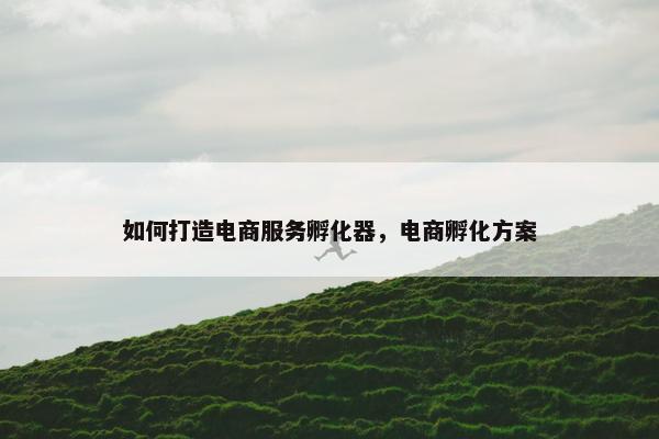 如何打造电商服务孵化器，电商孵化方案